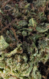 Citrus Inferno  | 17% CBD