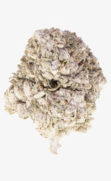 Green Goddess | 23% THCA