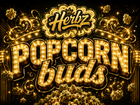 Popcorn buds