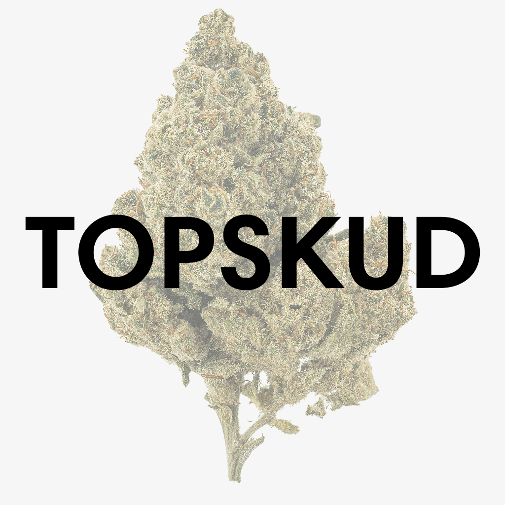 Topskud