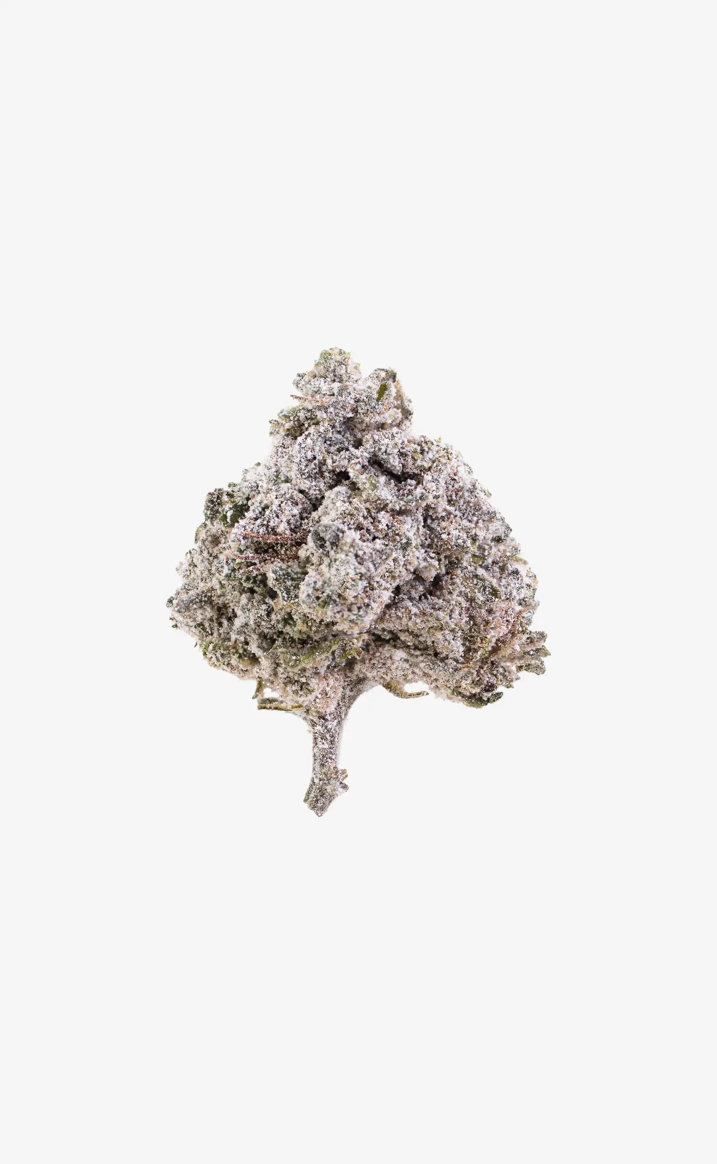 Cherry Comet | 22% THCA