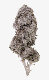 Electric Haze | 23% THCA