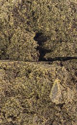 The Dutchman | Manala | 40% THCA