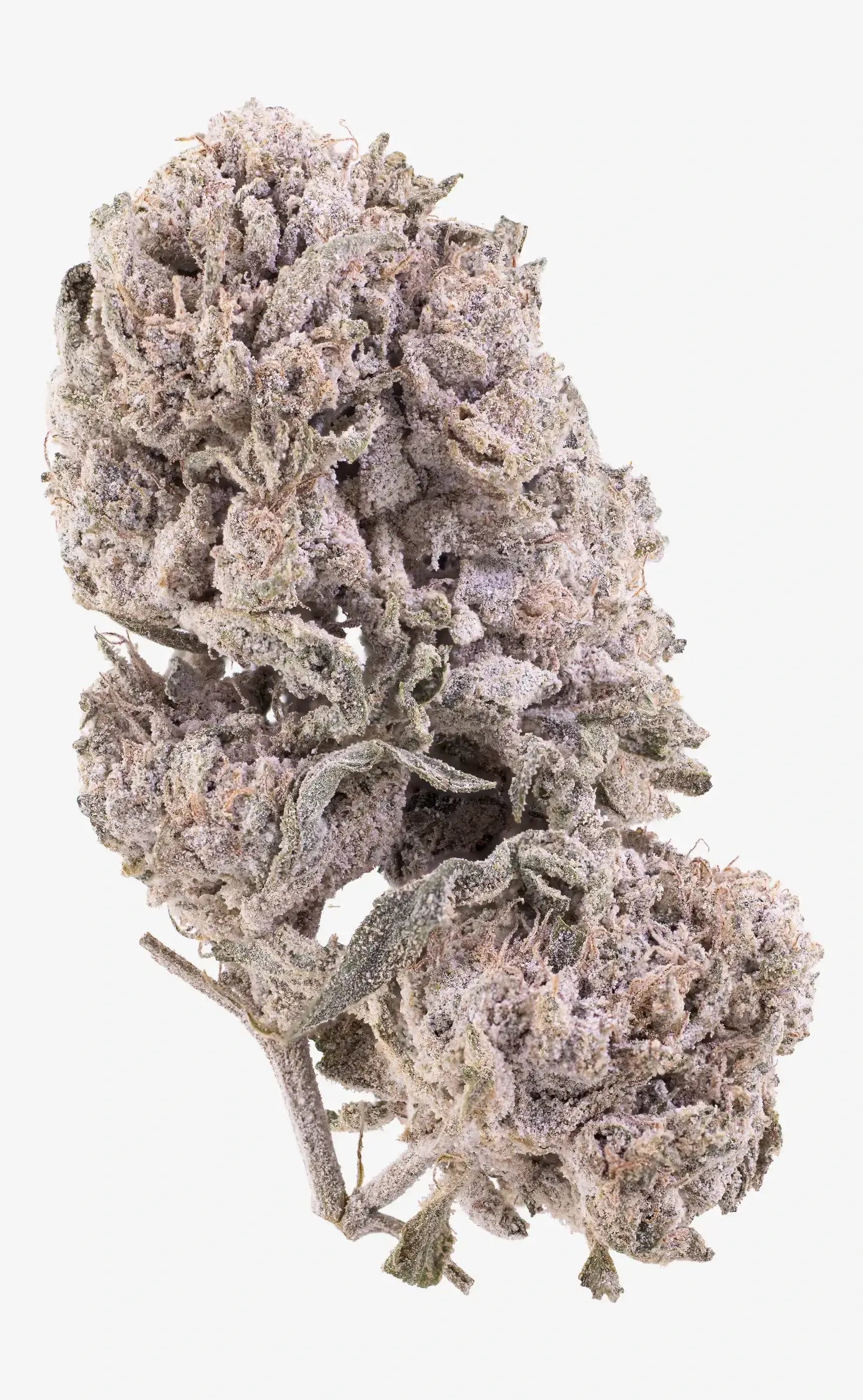 herbz cannabis bud thca polar pineapple