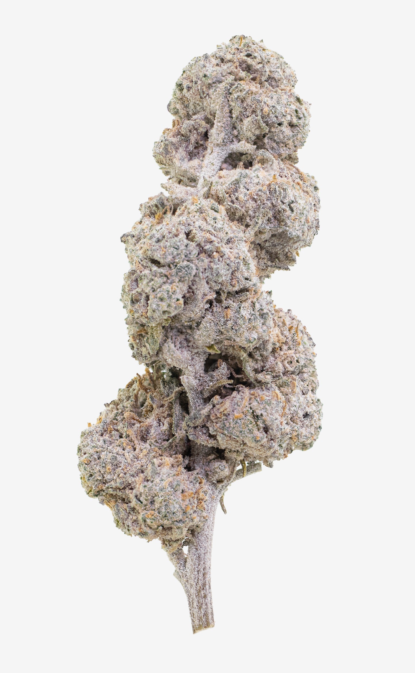 Amber Diesel | 22% THCA