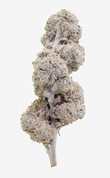 Amber Diesel | 22% THCA