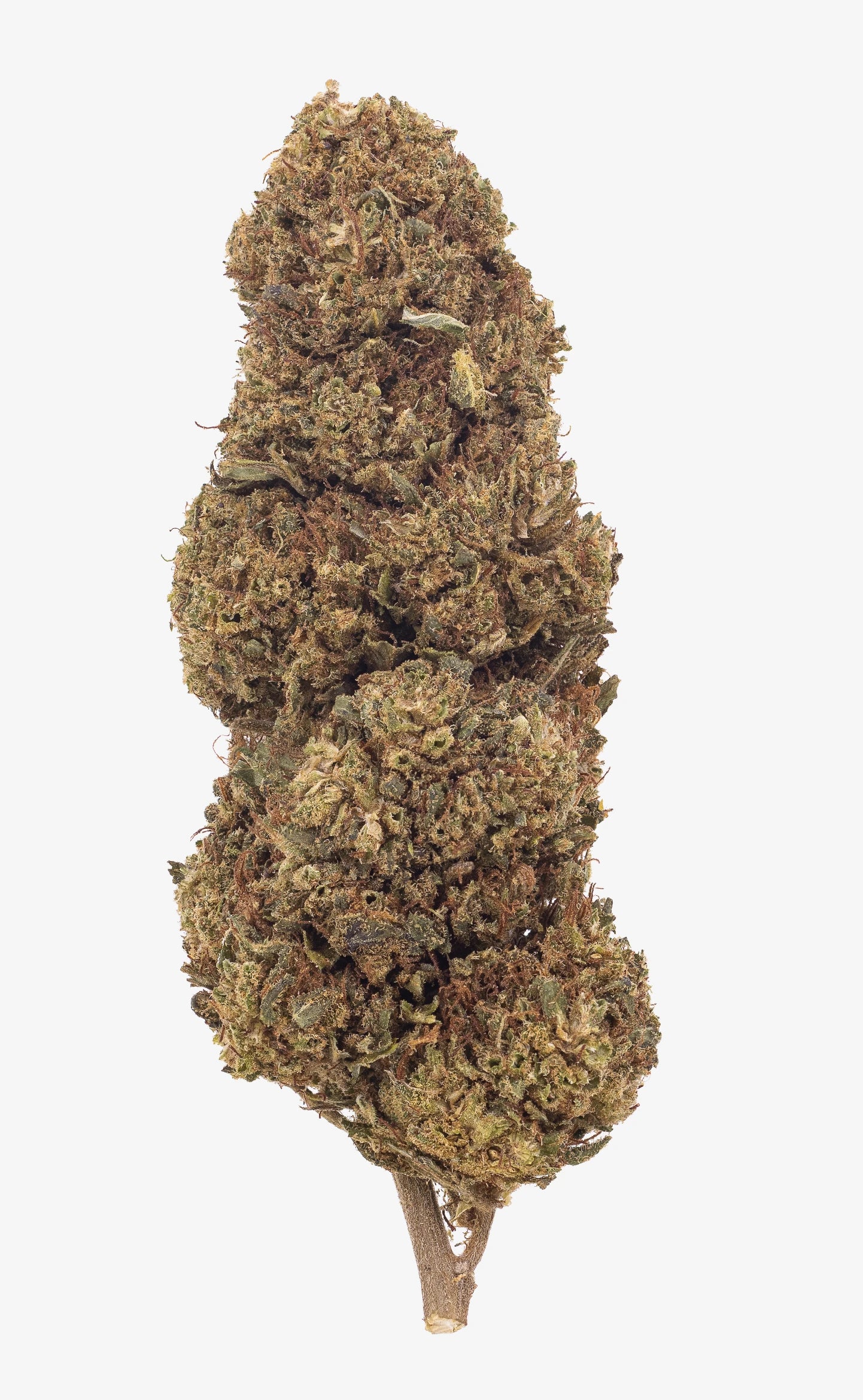 Caramel K.O. | 13% CBD