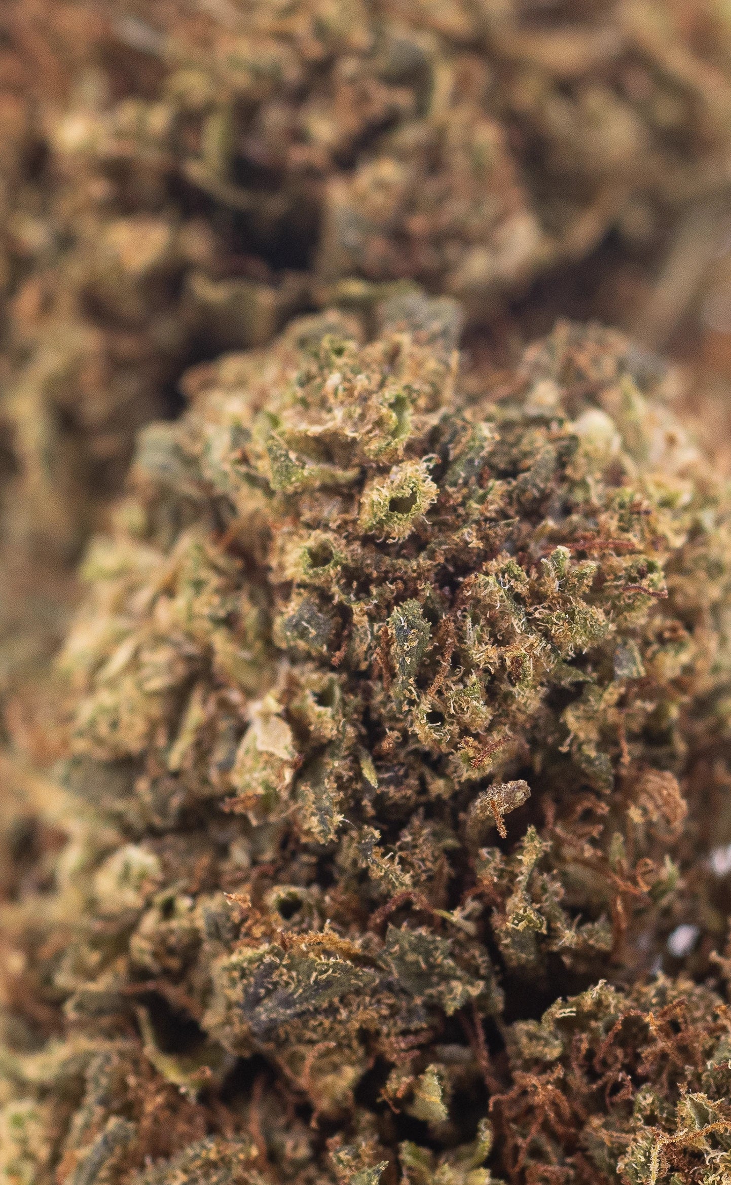 Caramel K.O. | 13% CBD