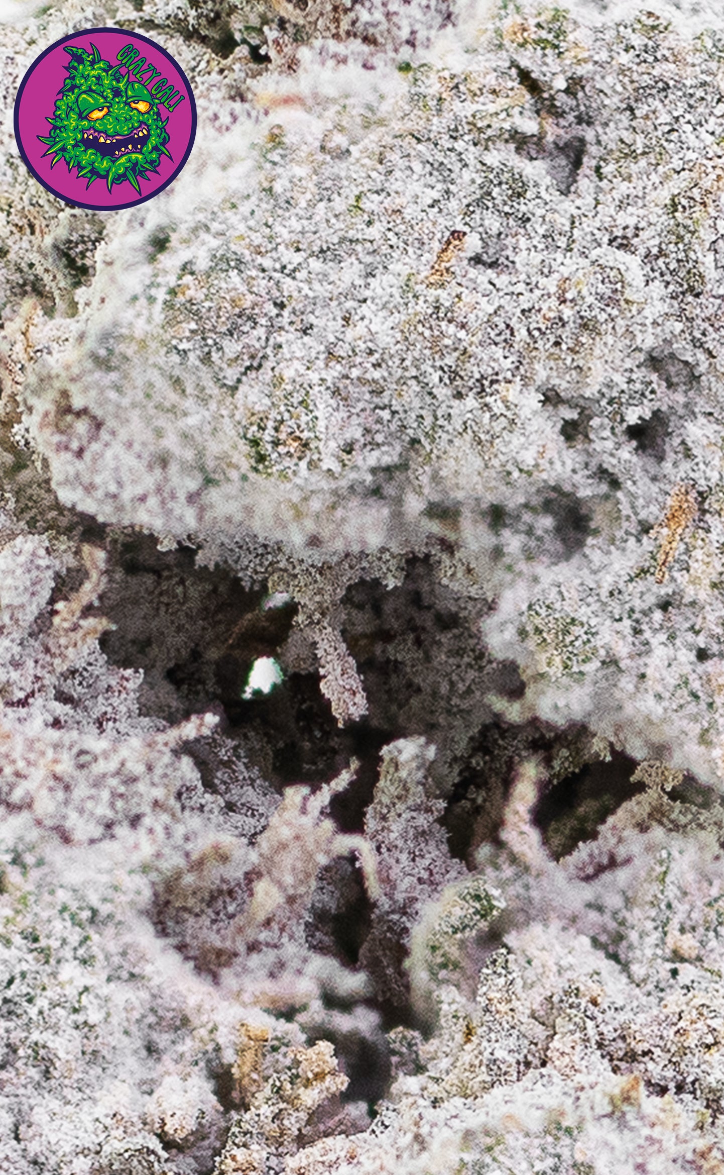 Crazy Cali | Creative Juice | 24% THCA