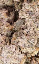 Dutch Bloom | 25% THCA