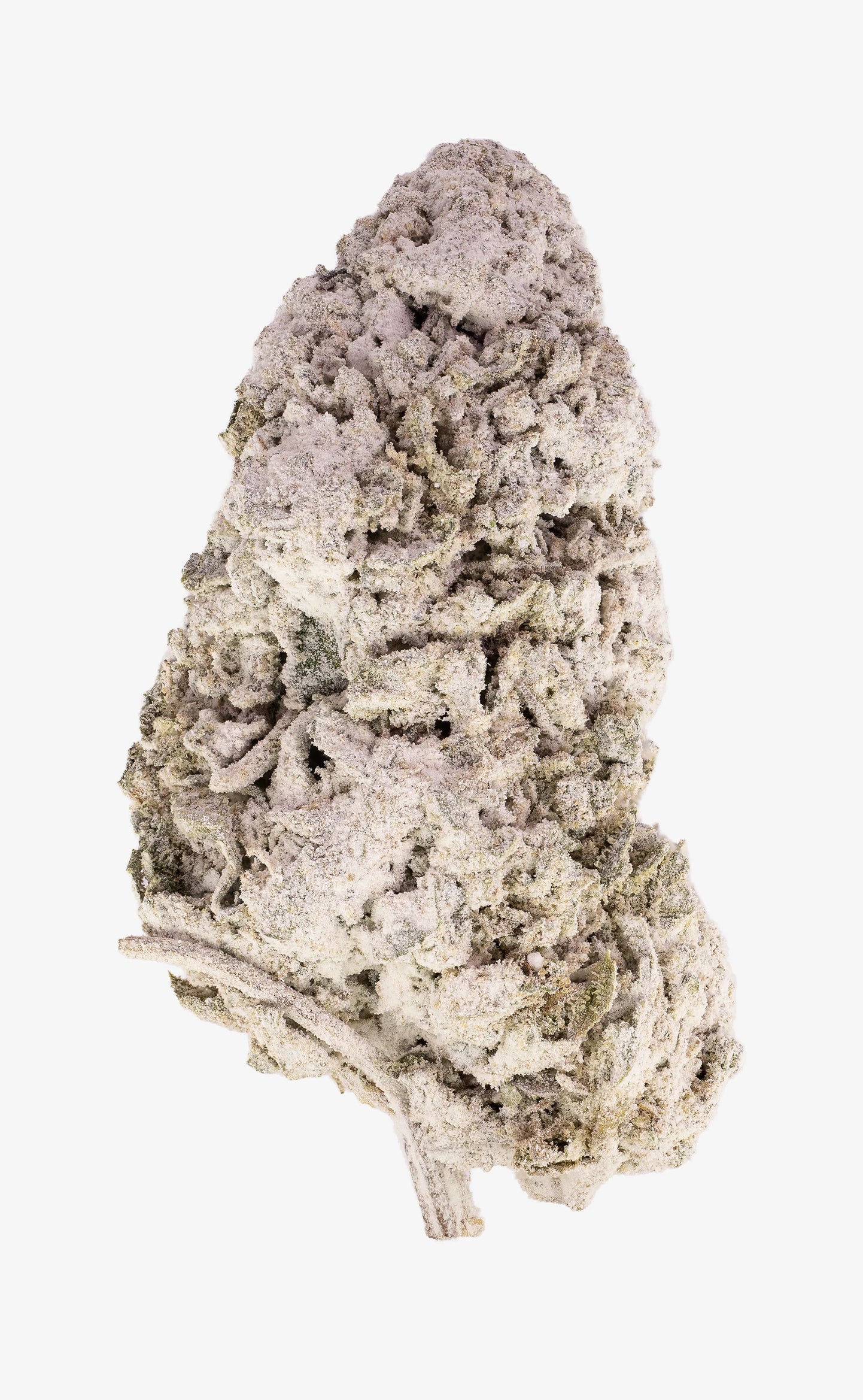 Girl Scout Cookies | 25% THCA