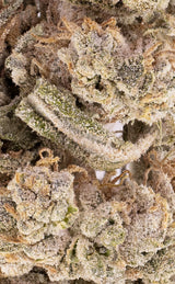 Morning Haze | 23% THCA