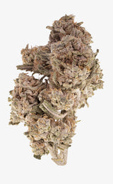 Morning Haze | 23% THCA