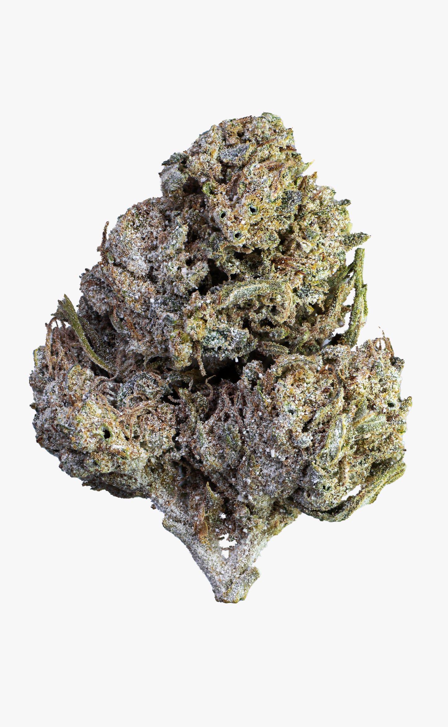 O.G. Snoozer | 18% THCA