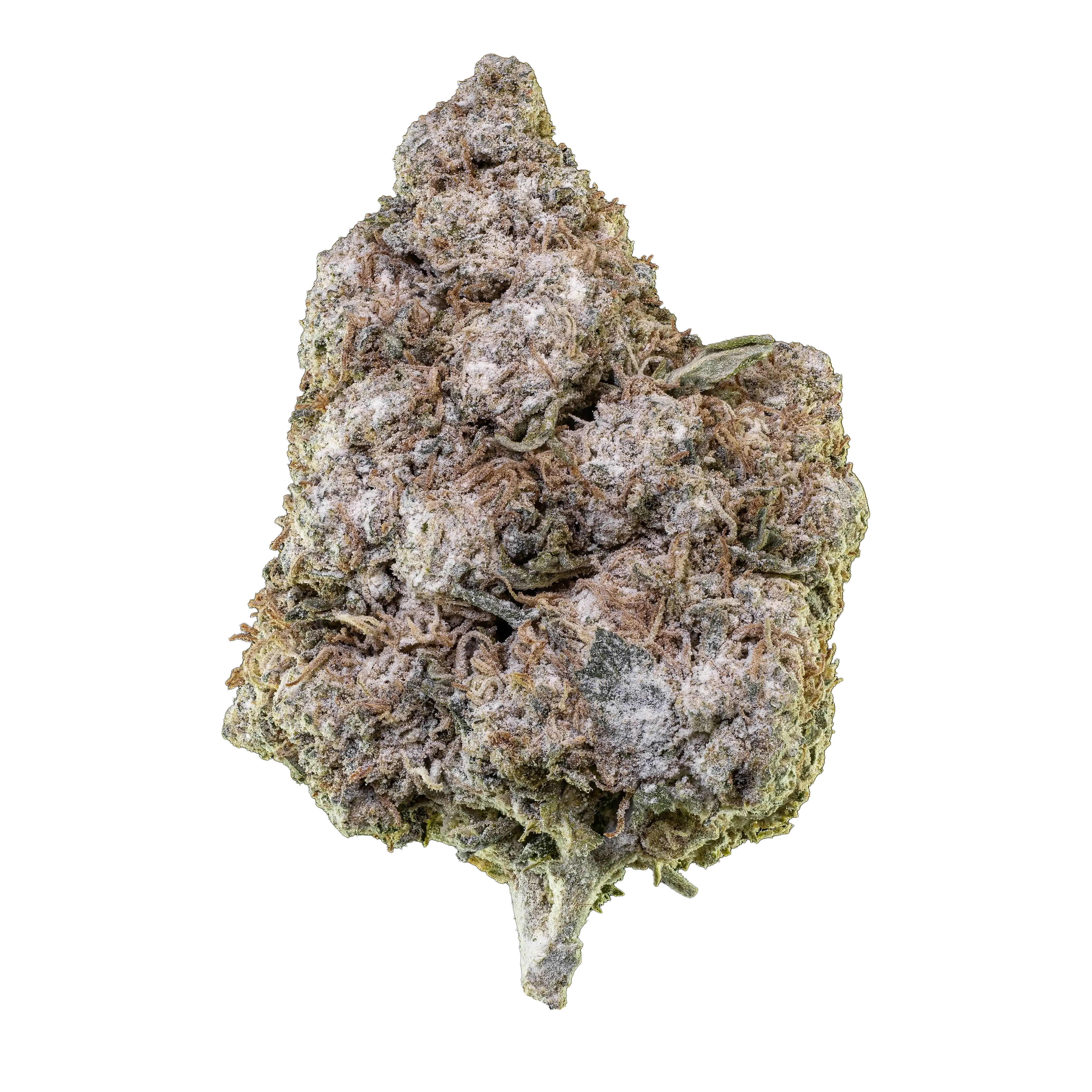 O.G. Zkittles