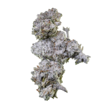 Orange Tangie Smalls