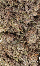 Orangello | 23% THCA