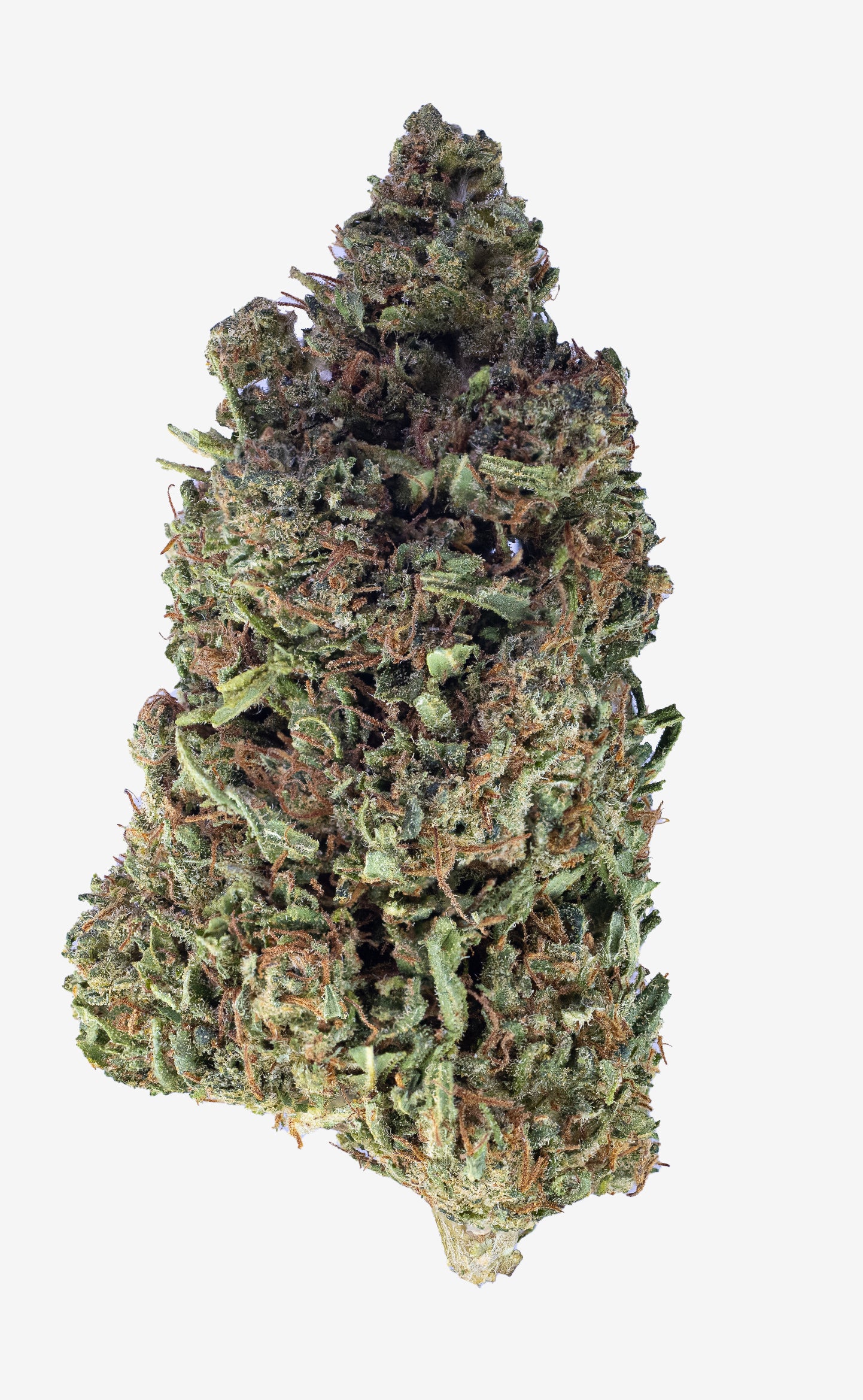 Sticky Bandit | 15% CBD