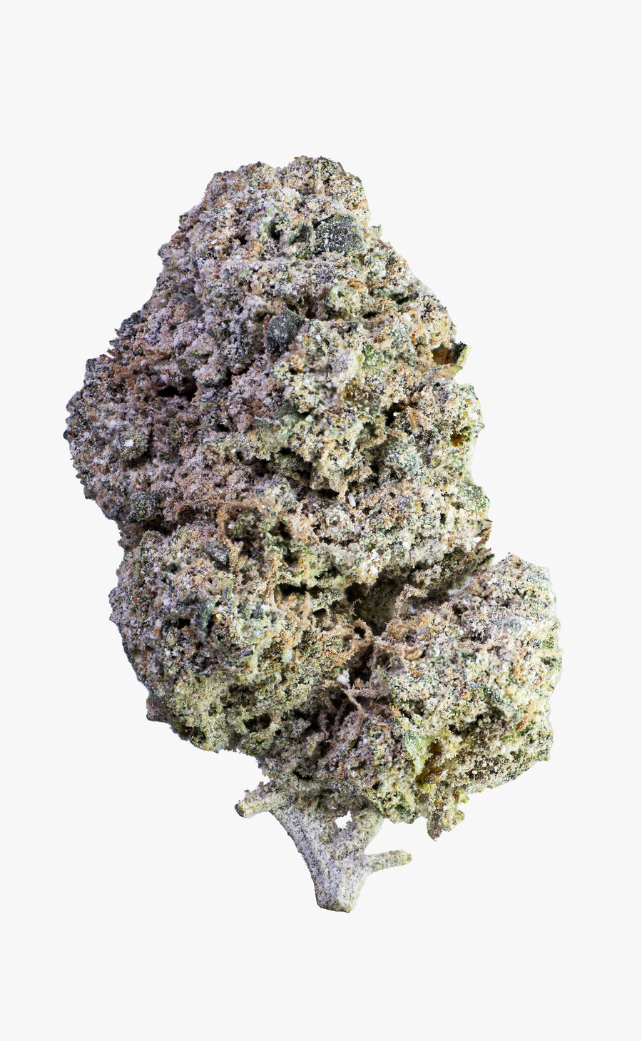 Vato-Loco Haze | 24% THCA