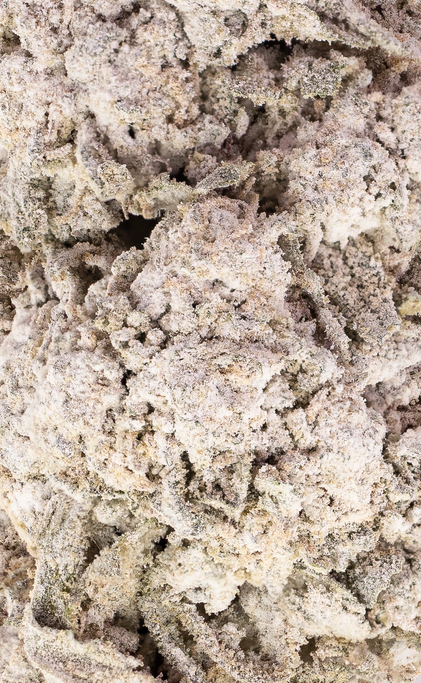 Wedding Cake | 25% THCA