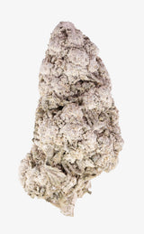 Wedding Cake | 25% THCA