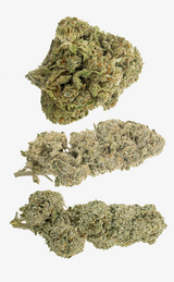 TOPSKUD BUNDLE 3x3 GRAM - herbz.dk herbz.dk Default Title herbz.dk - lovlig cannabis