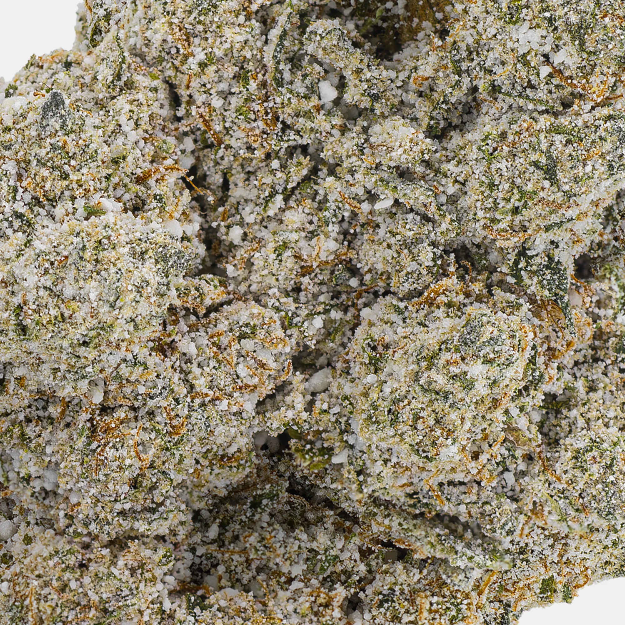 Crazy Cali | Jack Frost | 20% THCA | SATIVA - herbz.dk herbz.dk THCA Topskud - lovlig cannabis