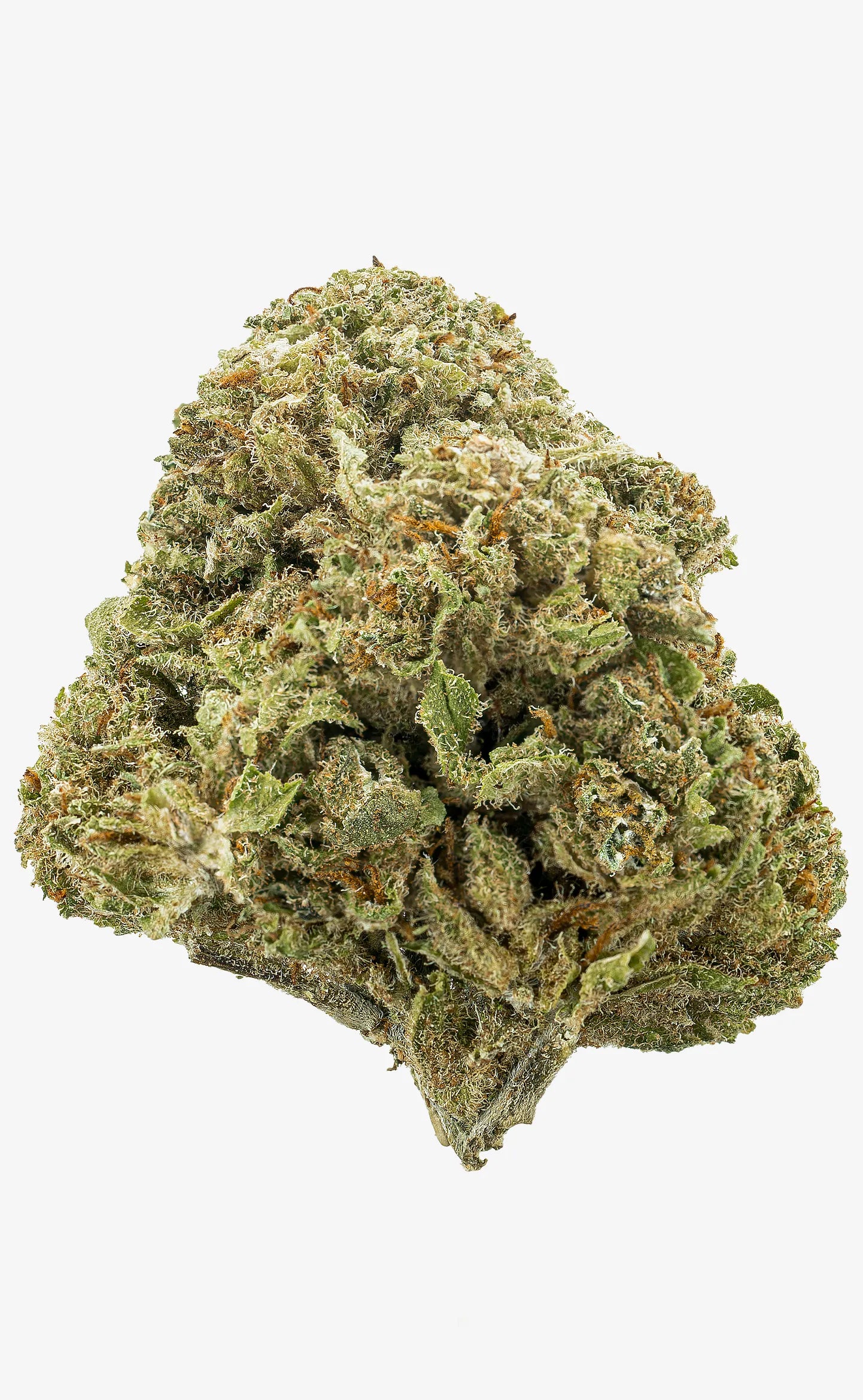 Zkittlez | 16% CBD - herbz.dk herbz.dk 1 g CBD vrcholové pupeny - legální konopí