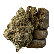 10 g de Amnesia Haze 23% THCA y 10 g de Bubble Hash 50% THCA reunidos en un pack Herbz