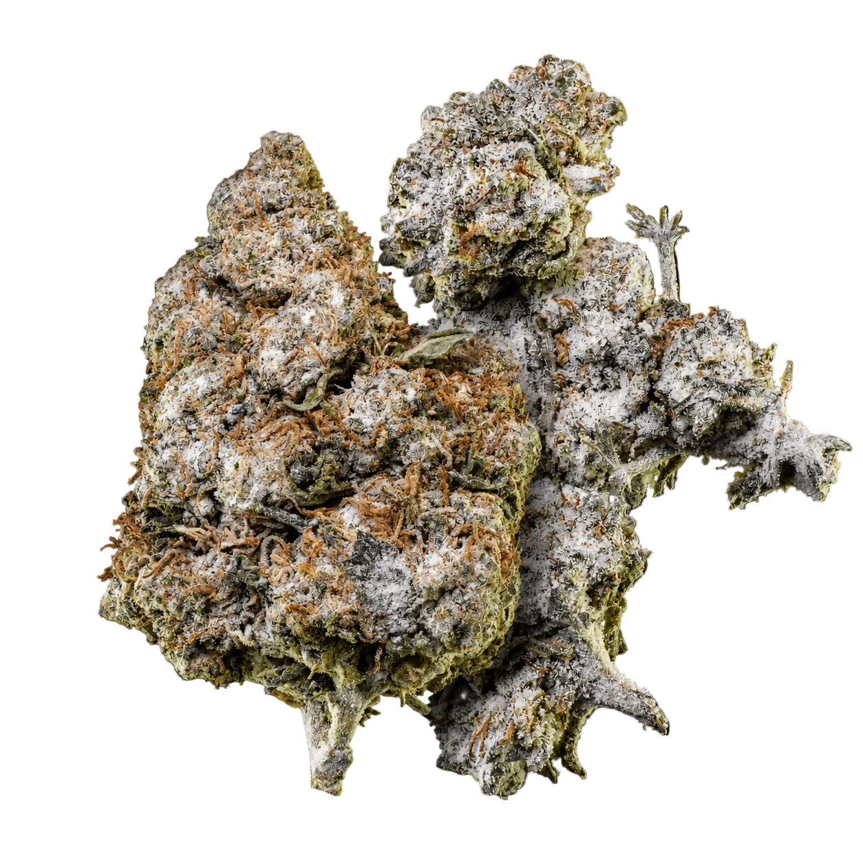 10g O.G. Zkittles 24% THCA og 10g Orange Tangie Smalls 22% THCA samlet i Herbz bundle