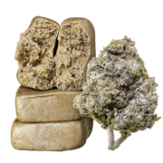 10g Piatella 60% THCA og 10g Thai Haze 23% THCA samlet i Herbz bundle