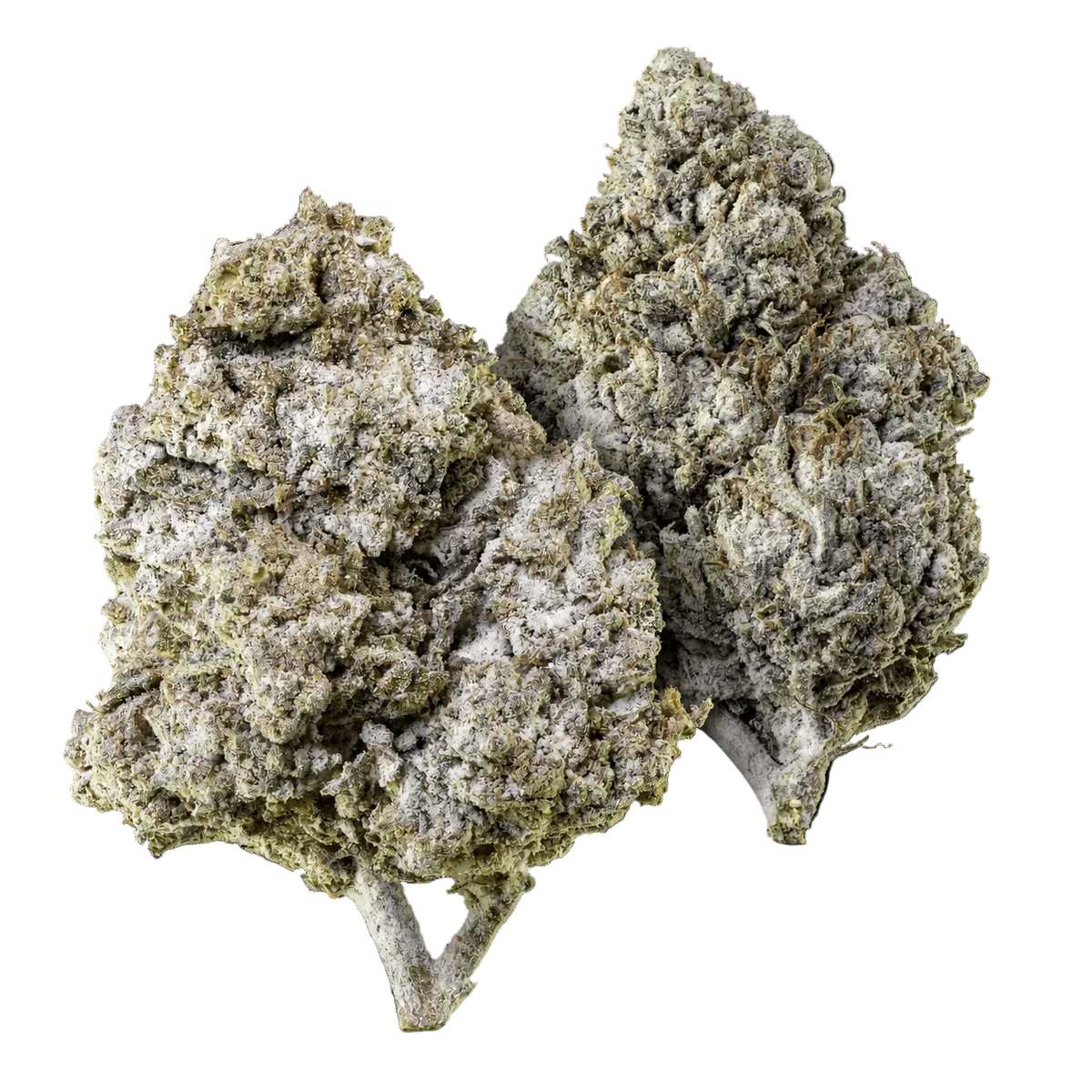 10g Thai Haze 23% THCA og 10g Amnesia Haze 23% THCA samlet i Herbz bundle