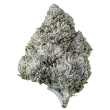 Herbz Amnesia Haze 10g emballage med lilla og grønt design