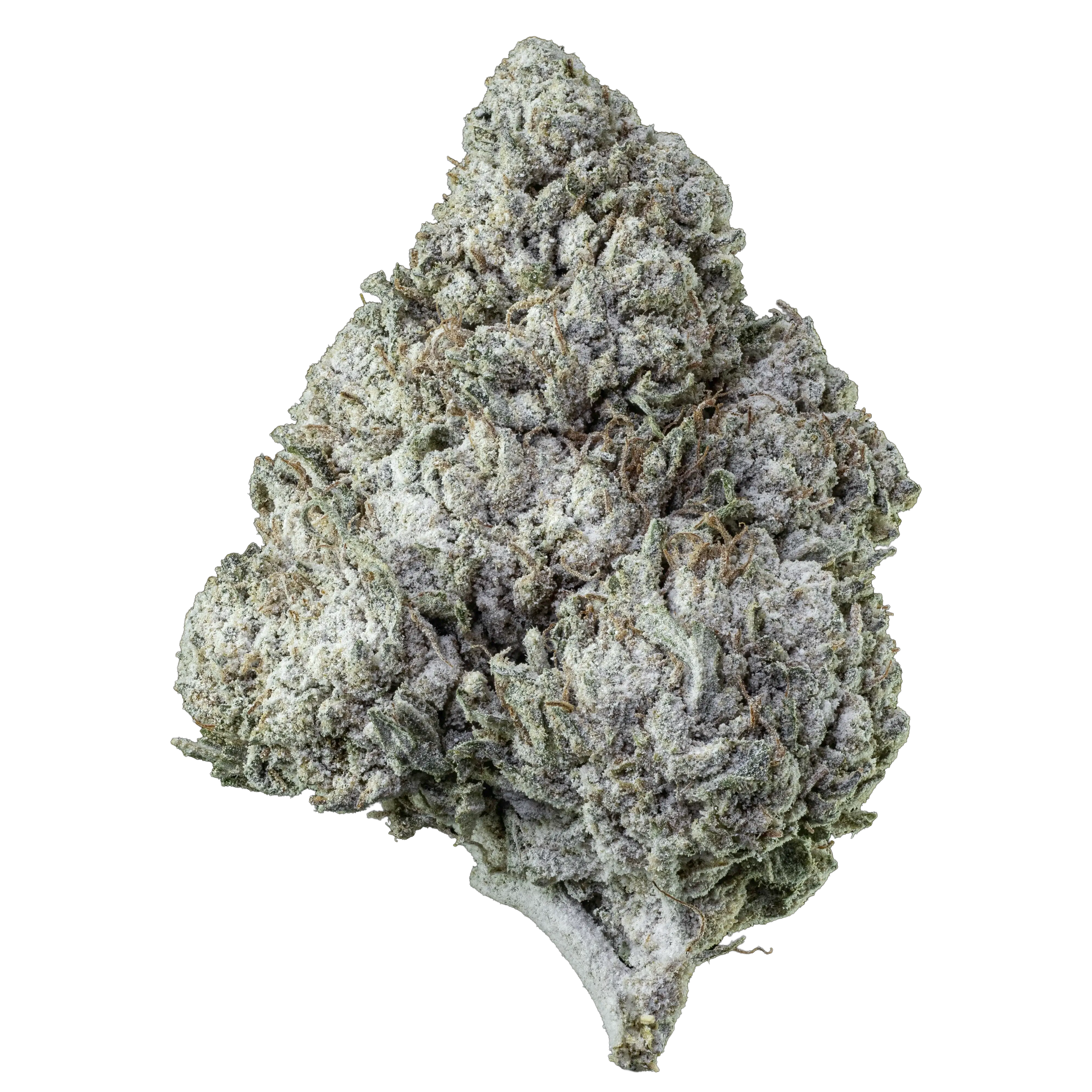 Herbz Amnesia Haze 10g emballage med lilla og grønt design