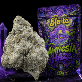 Amnesia Haze topskud med tæt struktur og hvidt resinlag