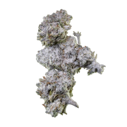 Herbz Orange Tangie Smalls 10g emballage med citrusinspireret design