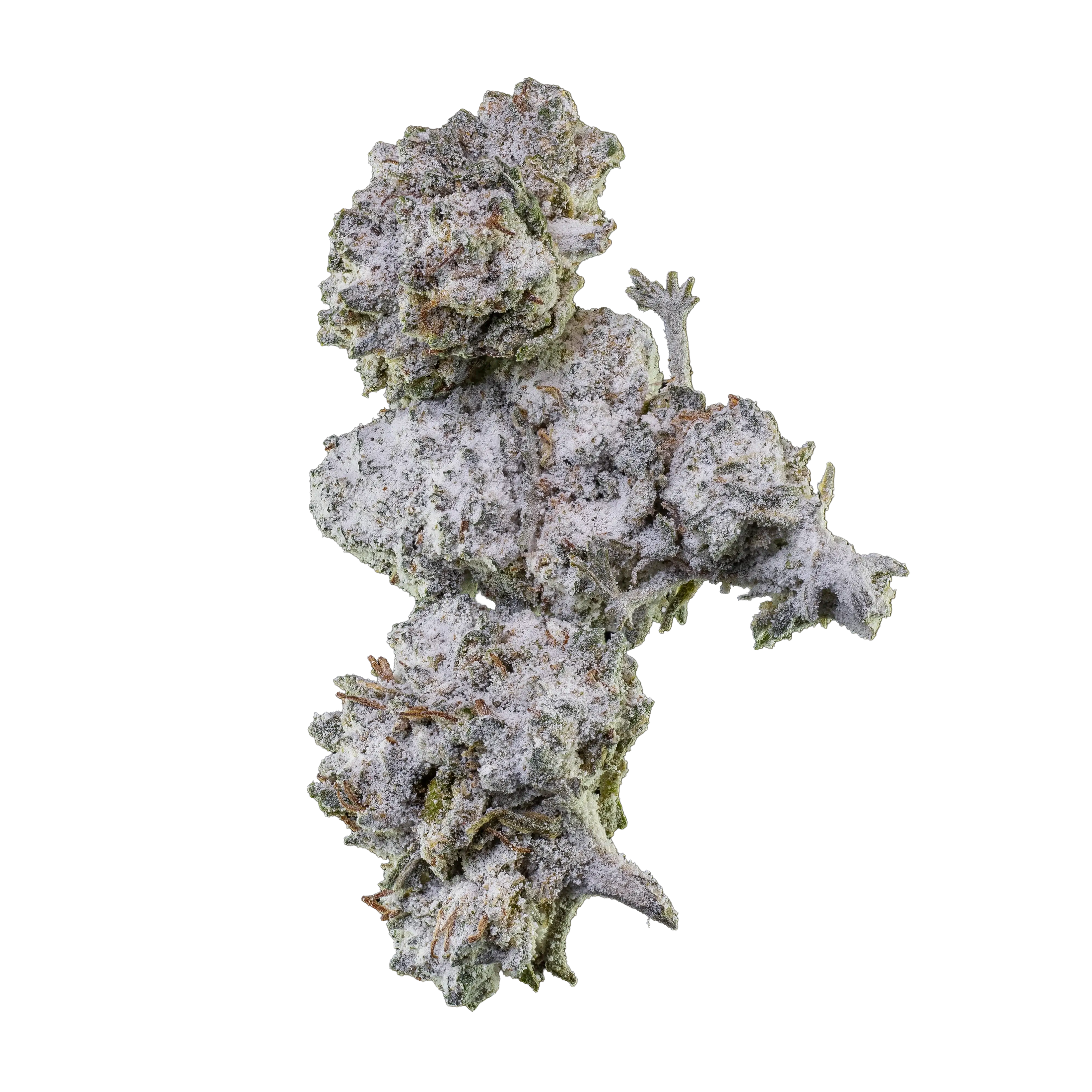 Herbz Orange Tangie Smalls 10 g Verpackung mit zitrusinspiriertem Design