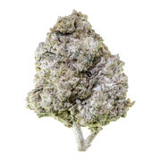 Herbz Thai Haze 10g emballage med grønt og gyldent jungleinspireret design